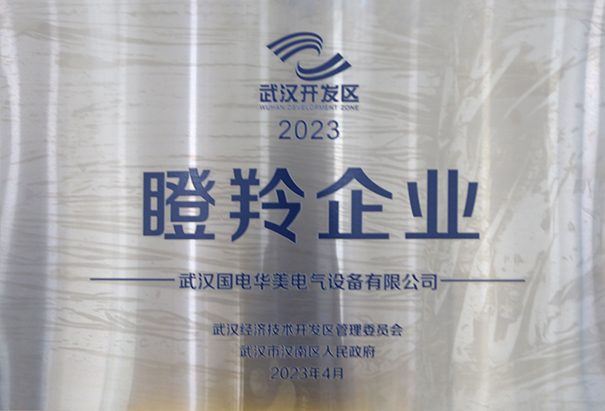 瞪羚企業(yè)