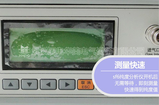 SF6氣體純度分析儀